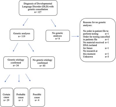 Clinical Characteristics and Genetic Etiology of Children With Developmental Language Disorder